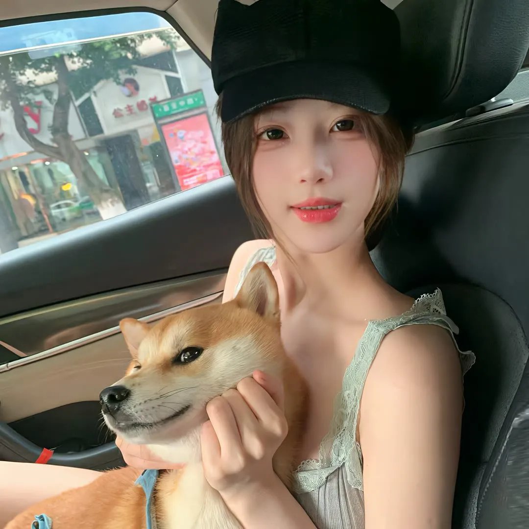 极地漫步